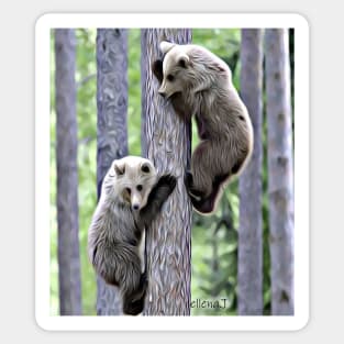 Two Bears Sticker